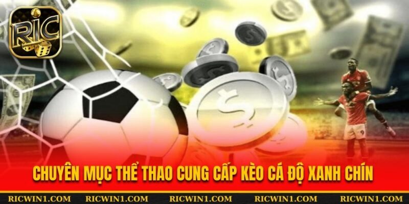 Chuyên mục thể thao cung cấp kèo cá độ xanh chín