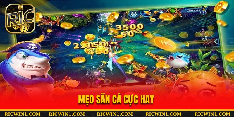 Mẹo săn cá cực hay