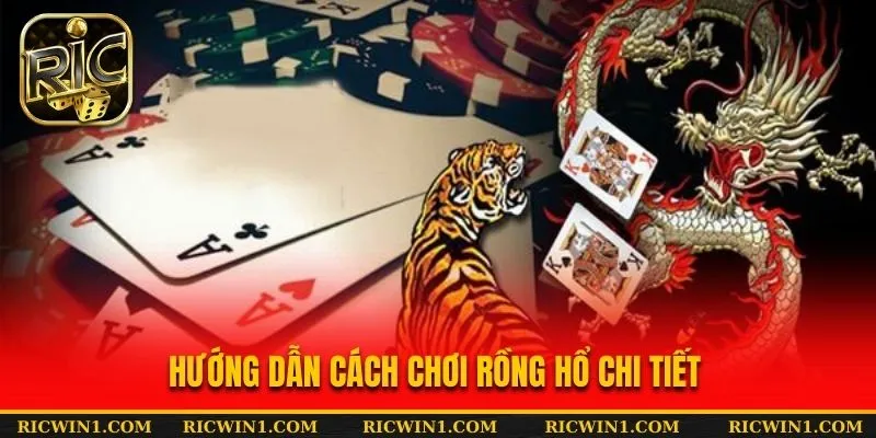 Hướng dẫn cách chơi Rồng Hổ chi tiết