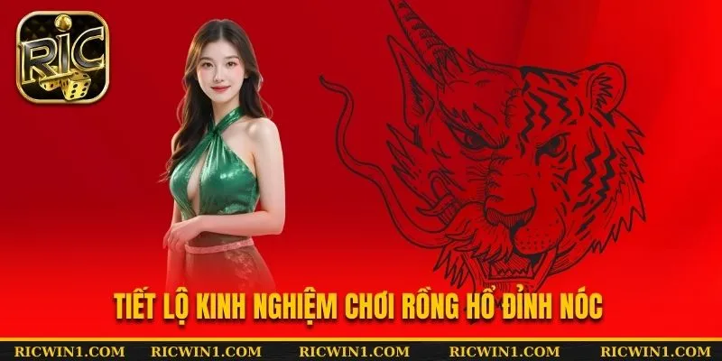 Tiết lộ kinh nghiệm chơi Rồng Hổ đỉnh nóc