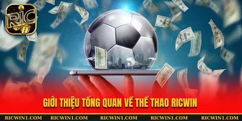 Đôi nét thông tin về Thể Thao RICWIN cho người mới tại nhà cái 