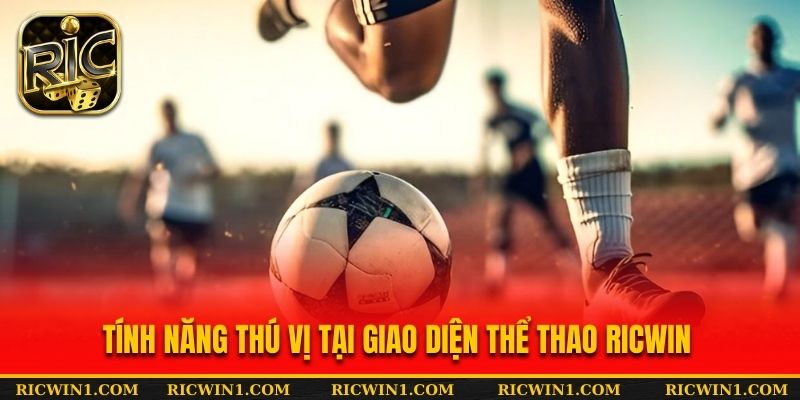 Giới thiệu các tính năng thú vị tại giao diện cá cược